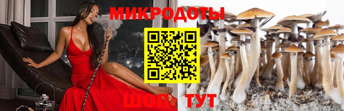 Галлюциногенные грибы Psilocybe  Вход с VPN  Псилоцибиновые грибы MAGIC MUSHROOMS  дарнет шоп  Электросталь 
